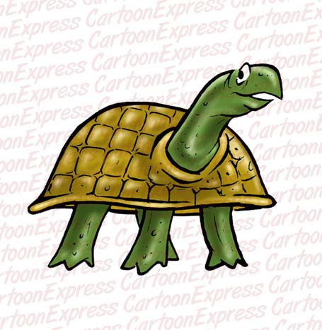 turtle